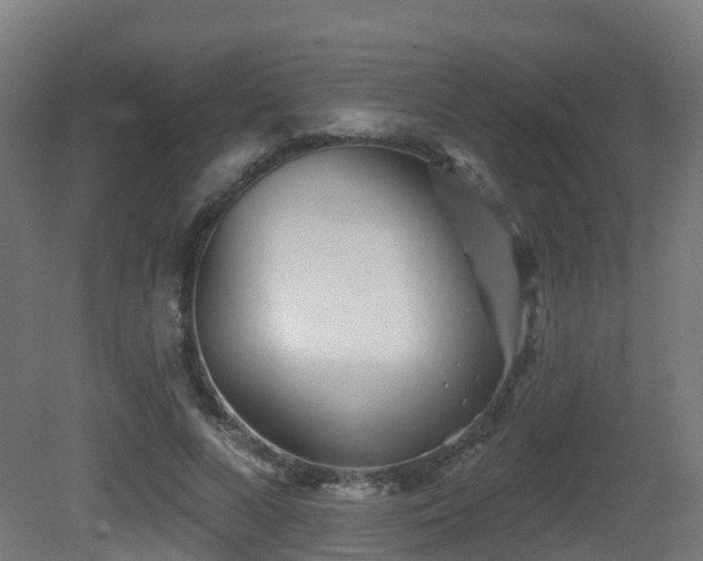 X0000081420688200701121236