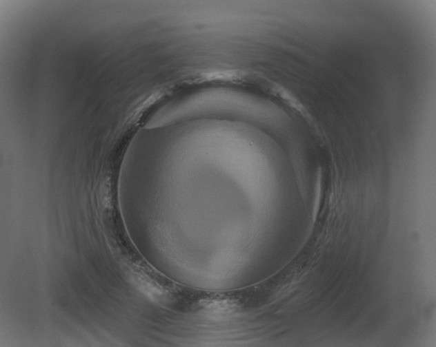X0000081420689200701121236