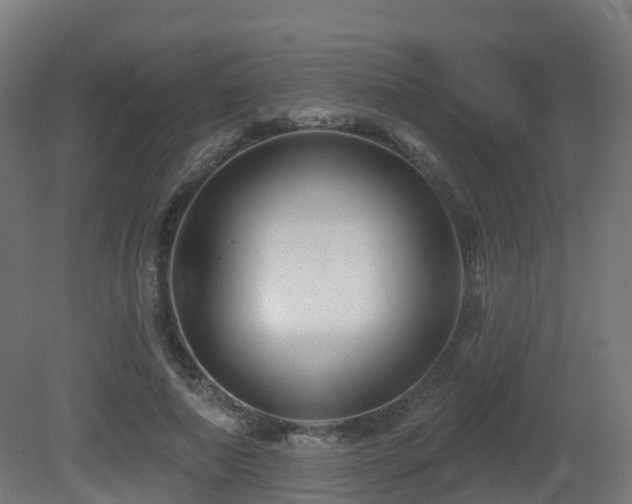X0000081420690200701121236