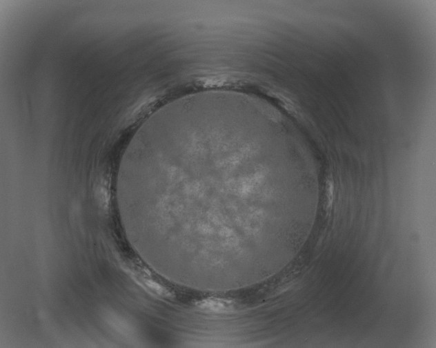 X0000081420691200701121236