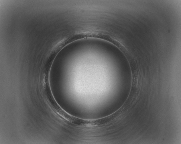 X0000081420692200701121236