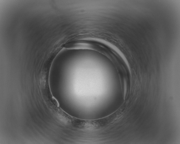 X0000081420697200701121236