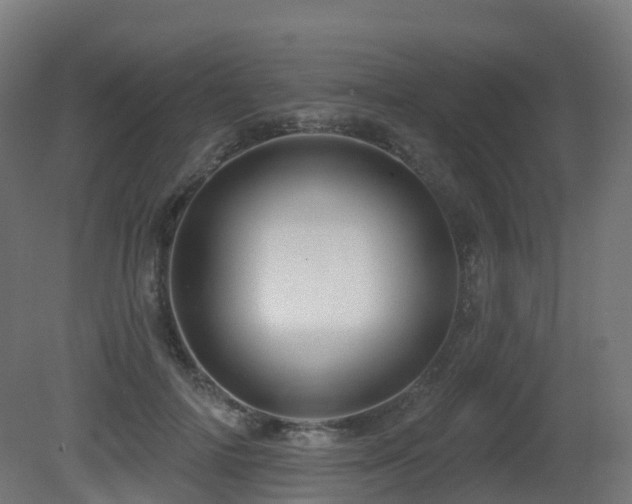X0000081420698200701121236