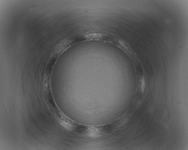 X0000081420701200701121236