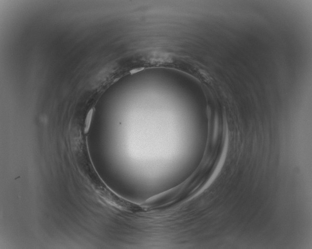 X0000081420704200701121236