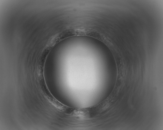 X0000081420706200701121236