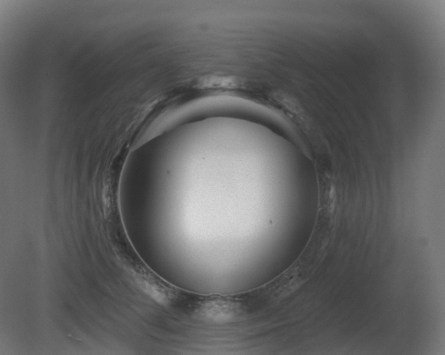 X0000081420708200701121236