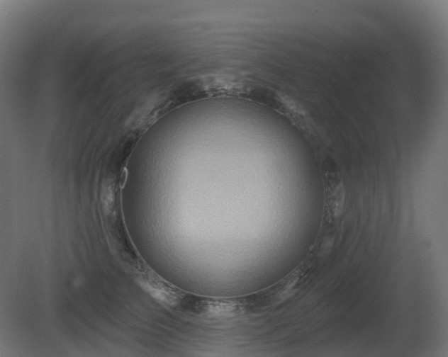 X0000081420709200701121236