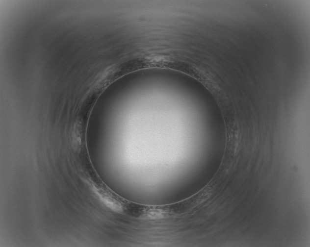 X0000081420710200701121236