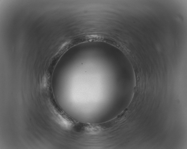 X0000081420712200701121235