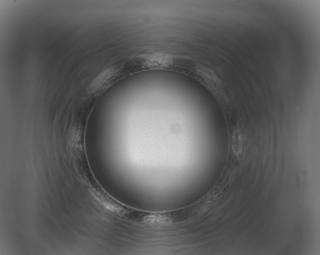 X0000081420714200701121235