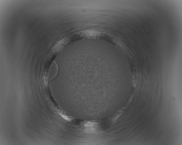 X0000081420718200701121235
