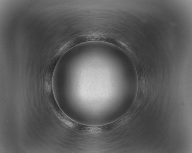 X0000081420719200701121235