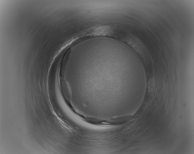 X0000081420722200701121235