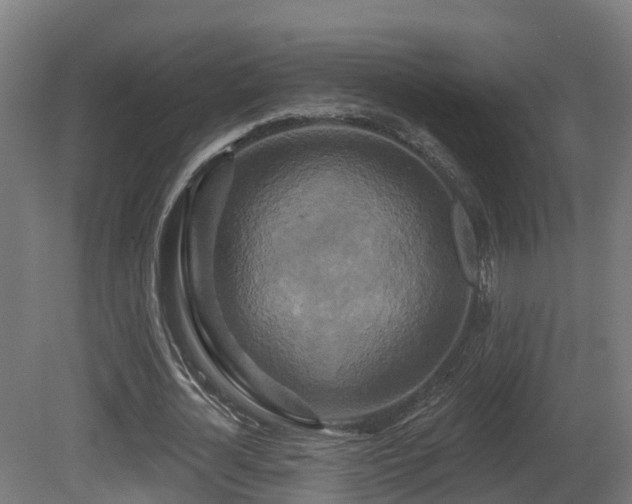 X0000081420724200701121235
