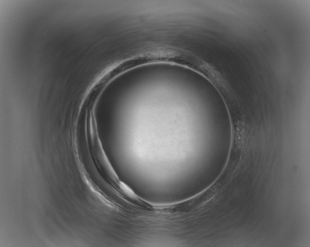 X0000081420726200701121235