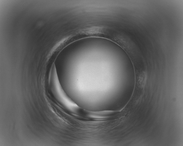 X0000081420732200701121235