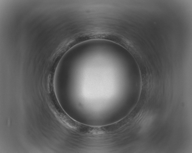 X0000081420742200701121235