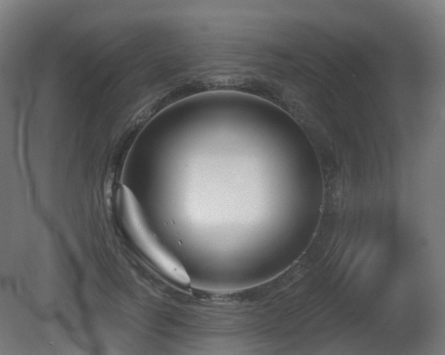 X0000081420746200701121235