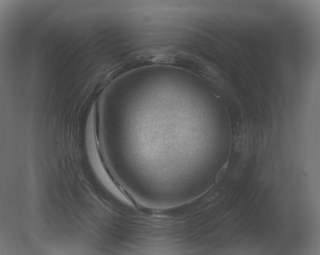 X0000081420748200701121235