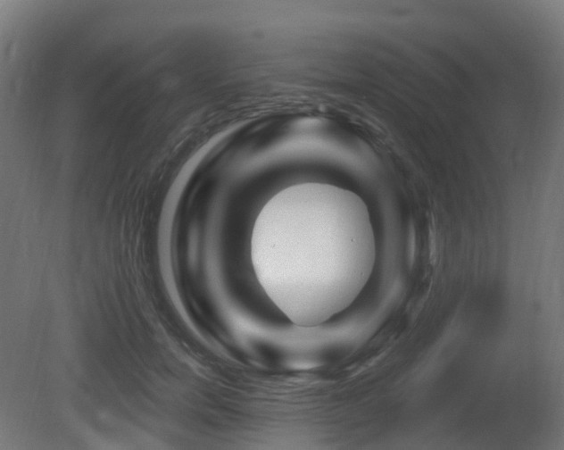 X0000081420750200701121235