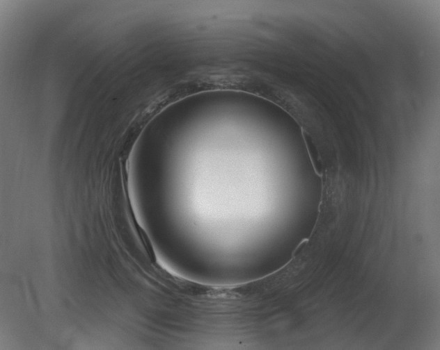 X0000081420752200701121235