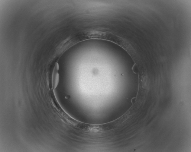 X0000081420753200701121235