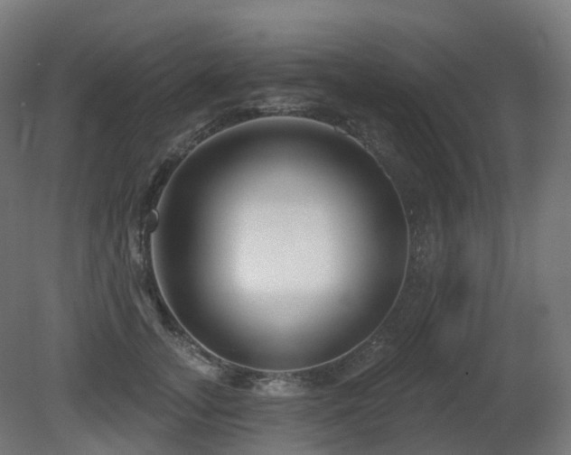 X0000081420755200701121235