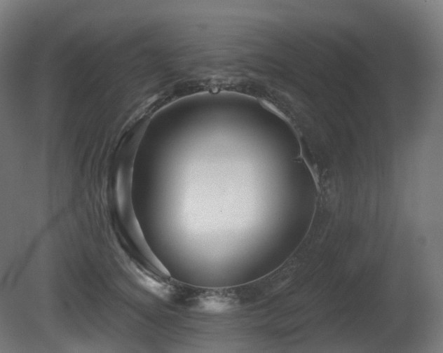 X0000081420756200701121235
