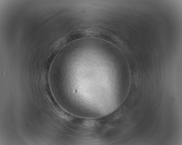 X0000081420757200701121235