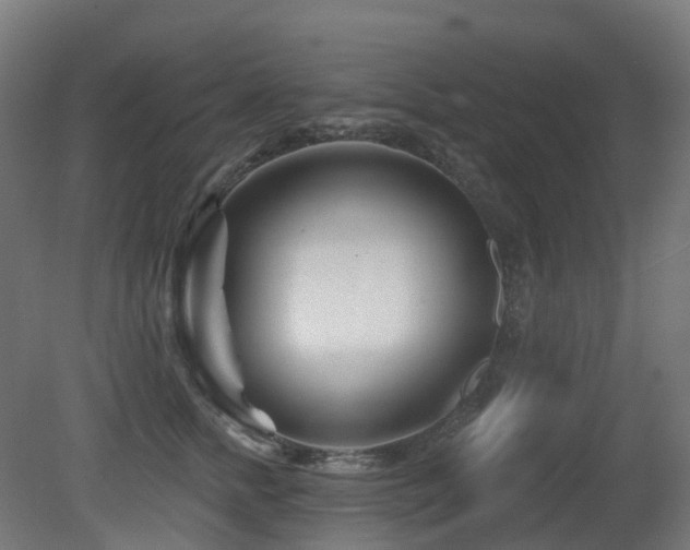 X0000081420758200701121235