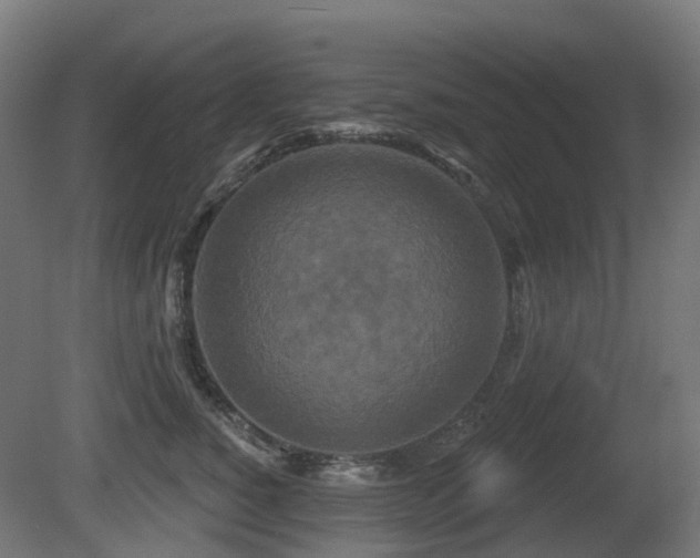 X0000081420760200701121235
