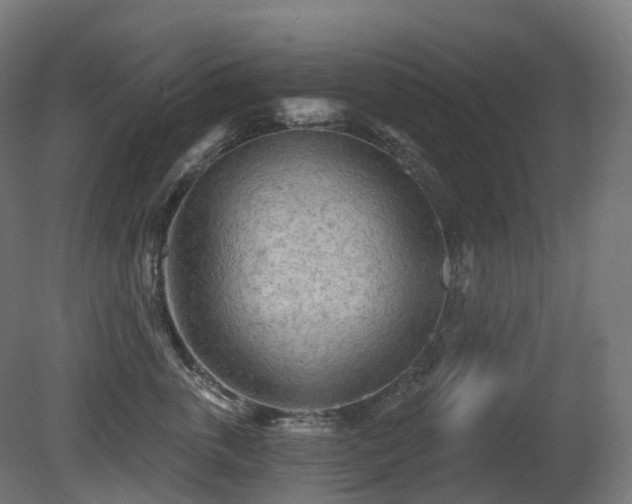 X0000081420763200701121235