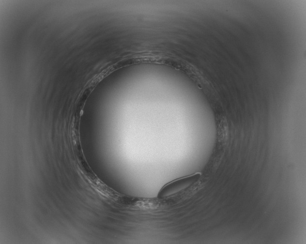 X0000081420764200701121235