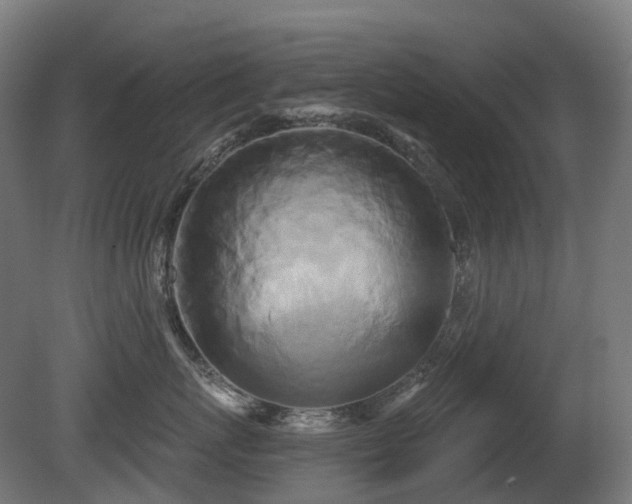 X0000081420767200701121235