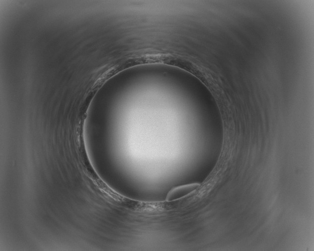 X0000081420768200701121235