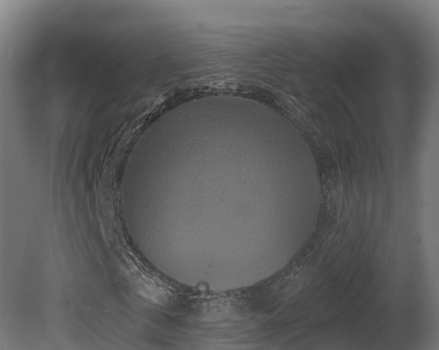 X0000081420769200701121234
