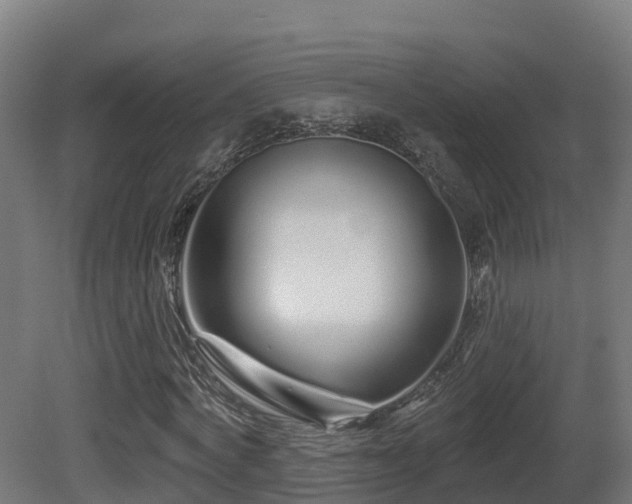 X0000081420772200701121234
