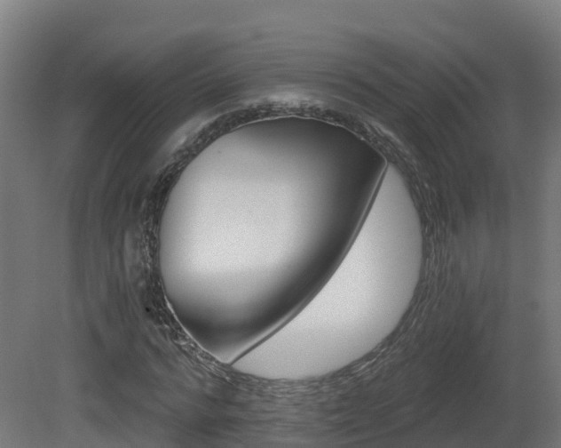 X0000081420776200701121234