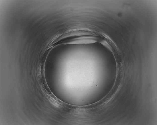 X0000081420777200701121234