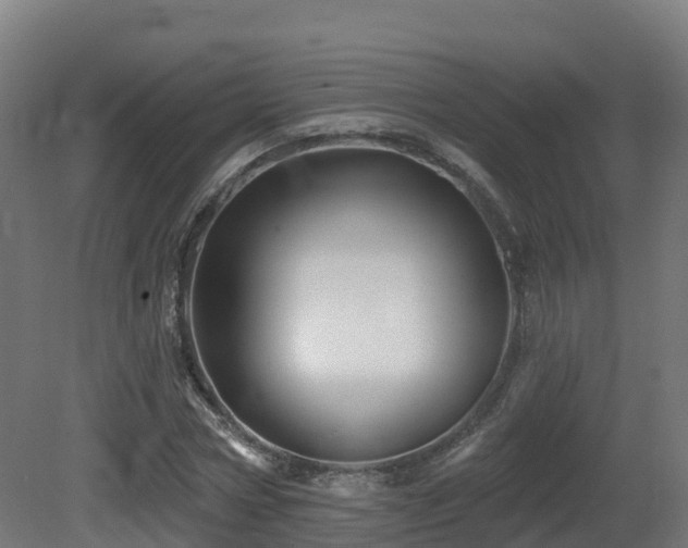 X0000081420778200701121234
