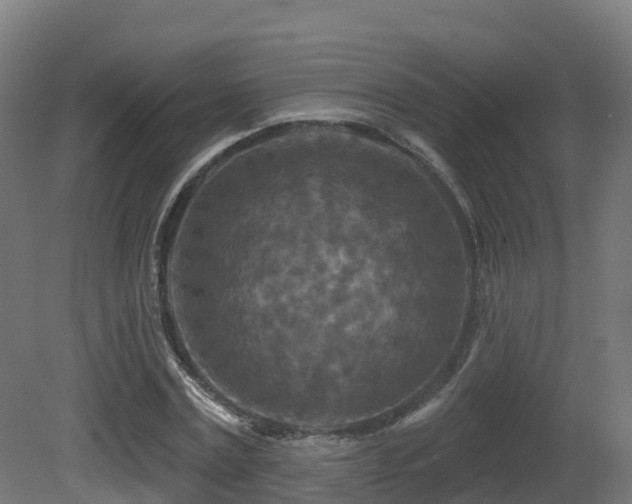X0000081420779200701121234
