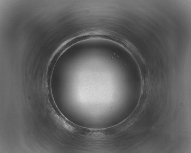 X0000081420784200701121234
