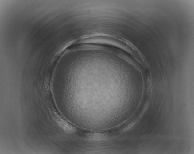 X0000081420785200701121234