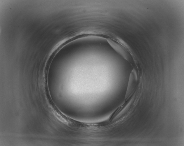 X0000081420787200701121234