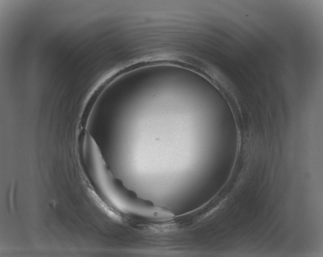 X0000081420789200701121234
