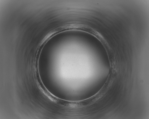 X0000081420794200701121234