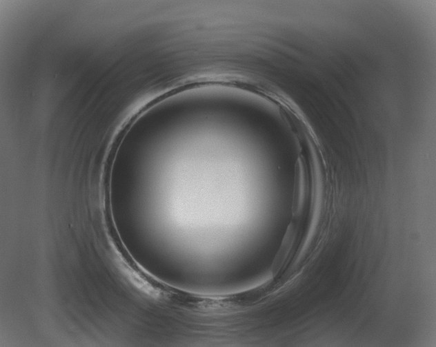 X0000081420795200701121234
