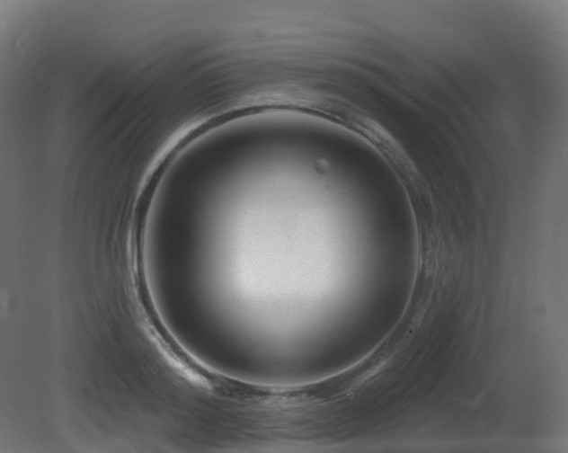X0000081420796200701121234
