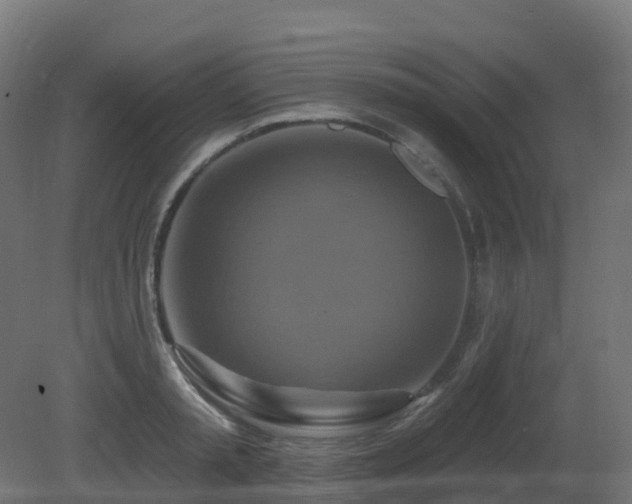 X0000081420797200701121234